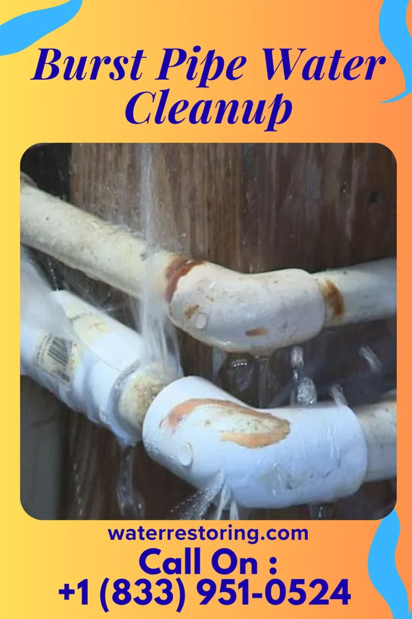 Burst Pipe Water Cleanup in Legend Lake, WI