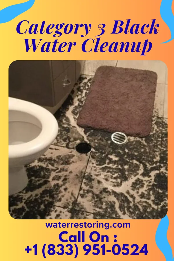 Category 3 Black Water Cleanup in Legend Lake, WI