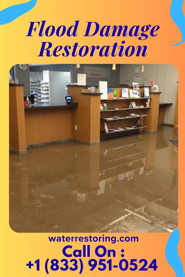 Flood Damage Restoration in Legend Lake, WI
