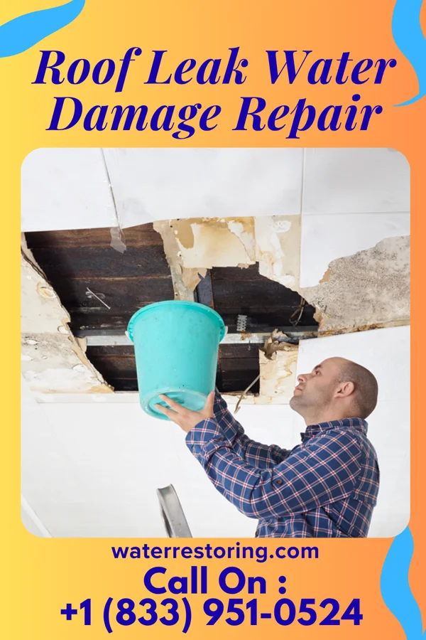 Roof Leak Water Damage Repair in Legend Lake, WI