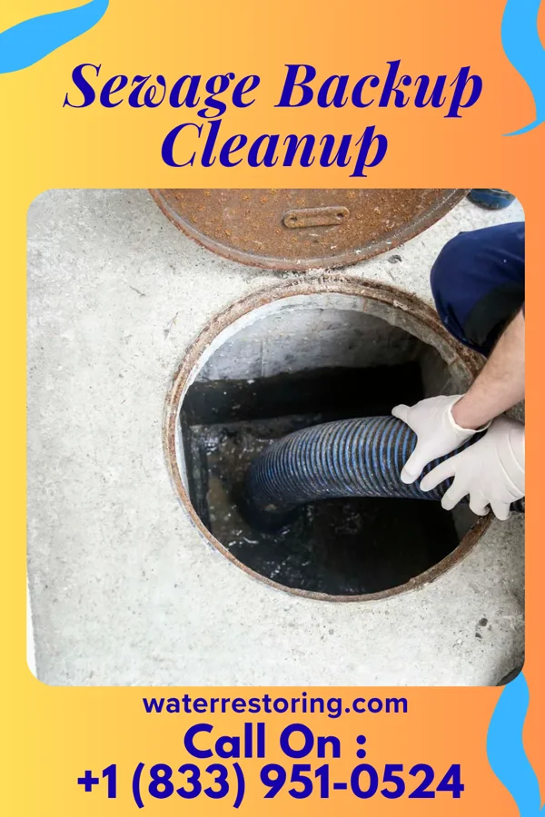 Sewage Backup Cleanup in Legend Lake, WI