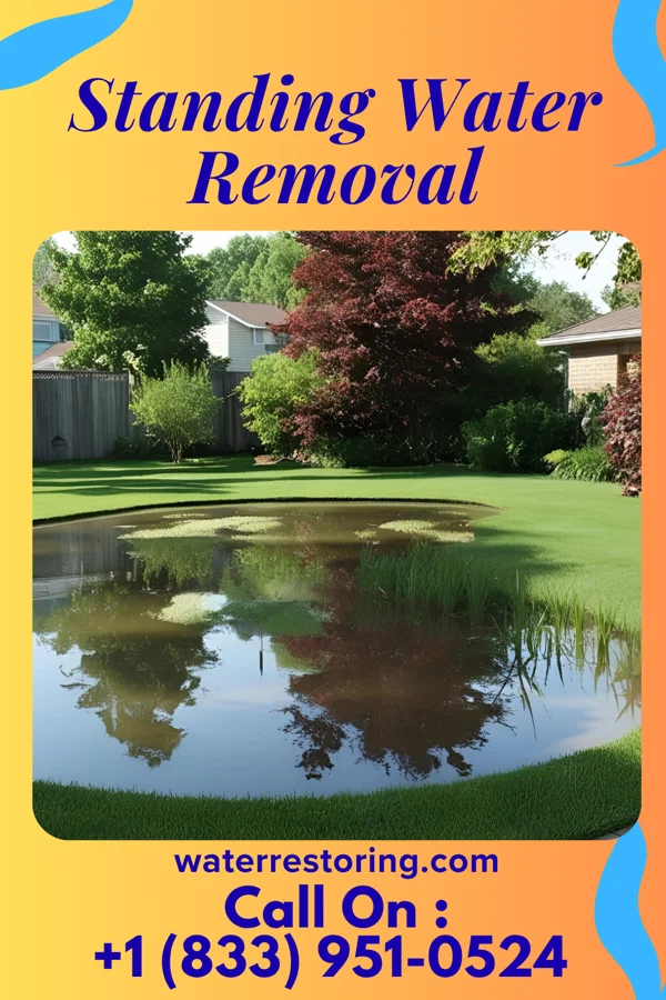 Standing Water Removal in Legend Lake, WI
